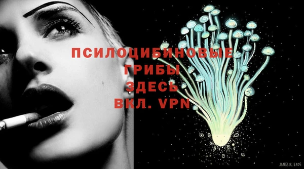 spice Верхний Тагил